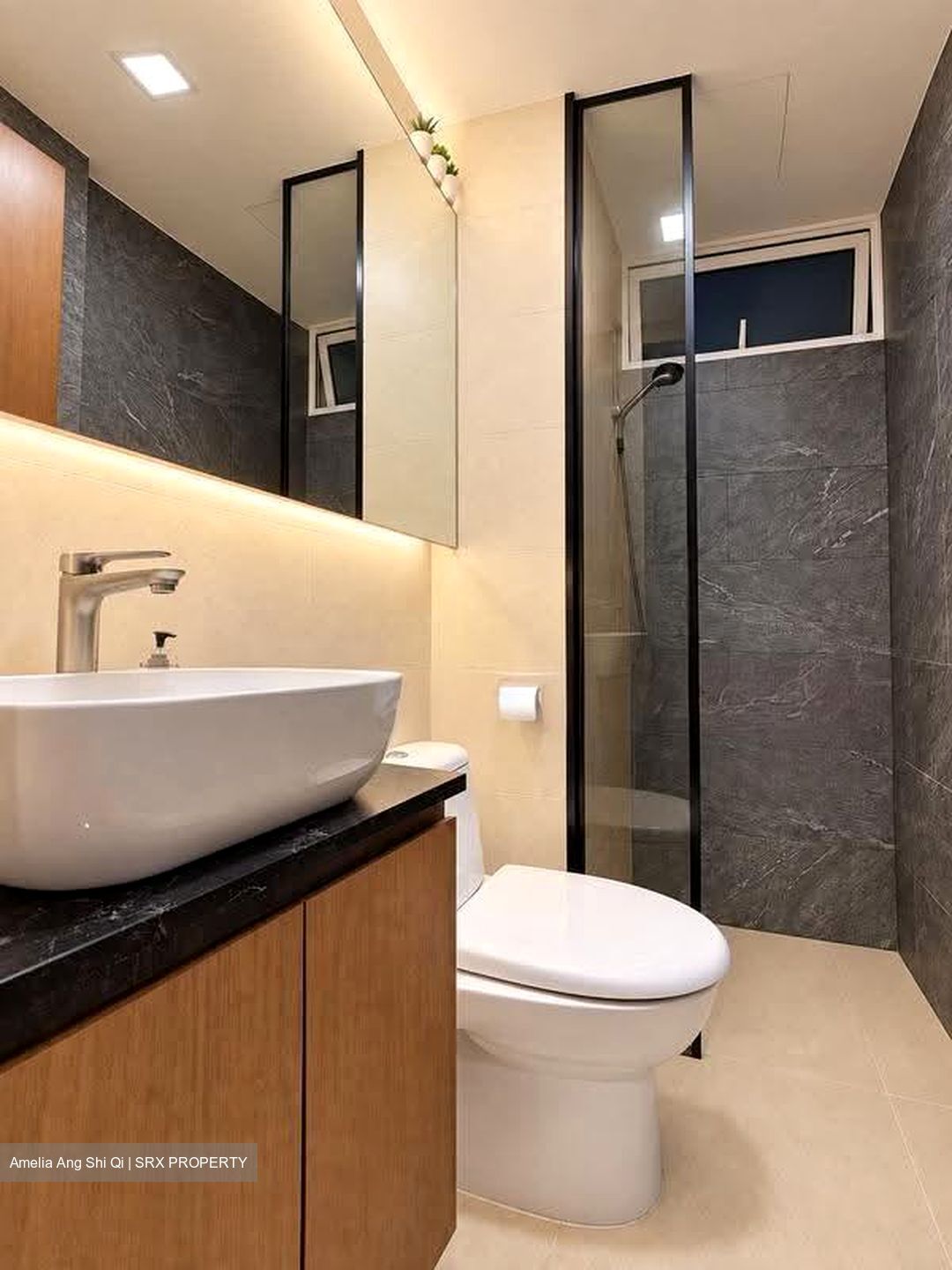 Waterview (D18), Condominium #624947381